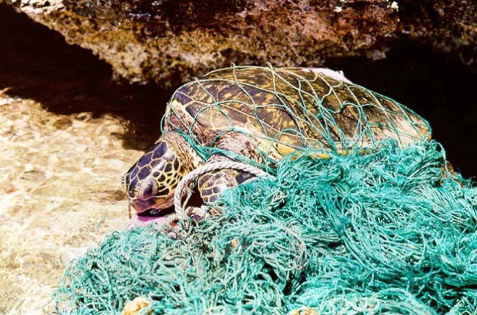 Plastica negli Oceani